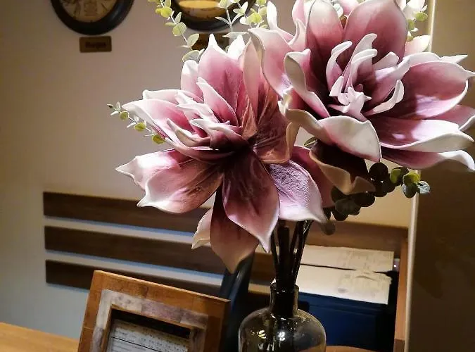 ホテル микадо - онлайн Self Check-in ブルガス