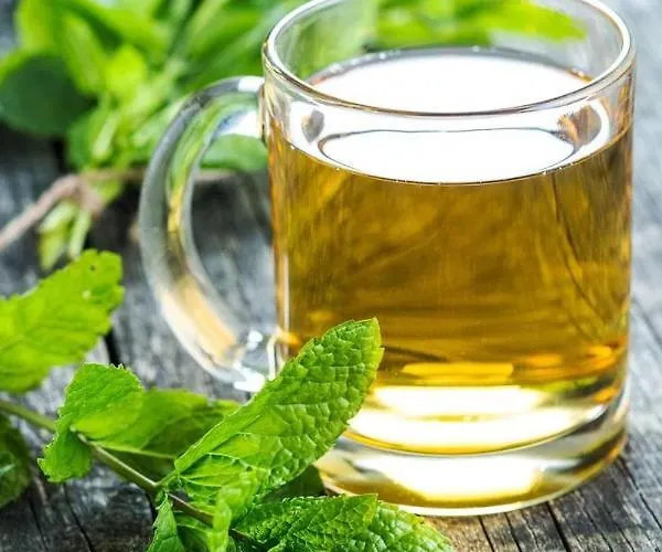 микадо - онлайн Self Check-in 3* Burgas